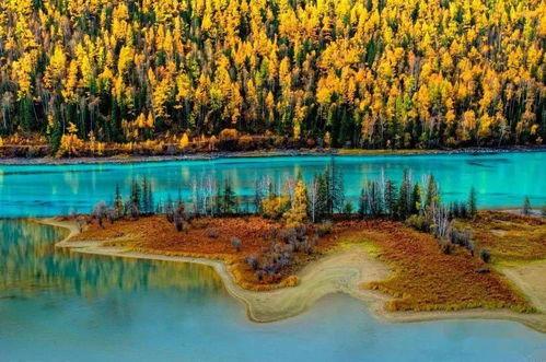 喀纳斯景区爆料视频播放  第2张